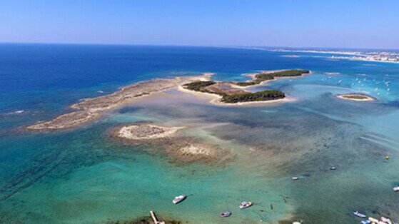 immagine dell'isola la strea